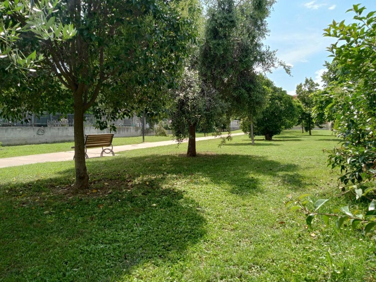 Casa Giardino Apartment San Benedetto del Tronto Ngoại thất bức ảnh