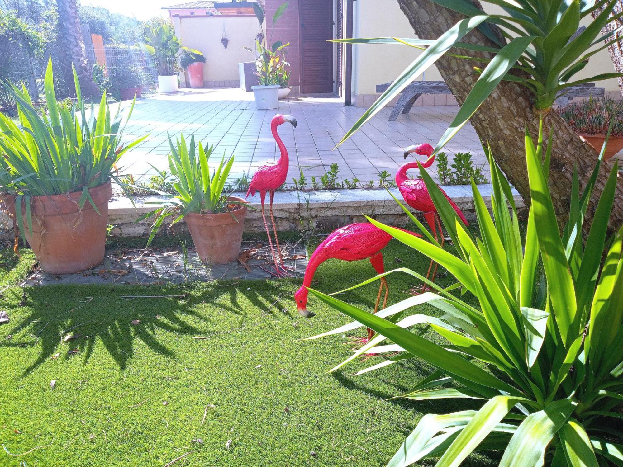 Casa Giardino Apartment San Benedetto del Tronto Ngoại thất bức ảnh